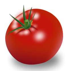Untitled tomato آکادمی زبان سجادی